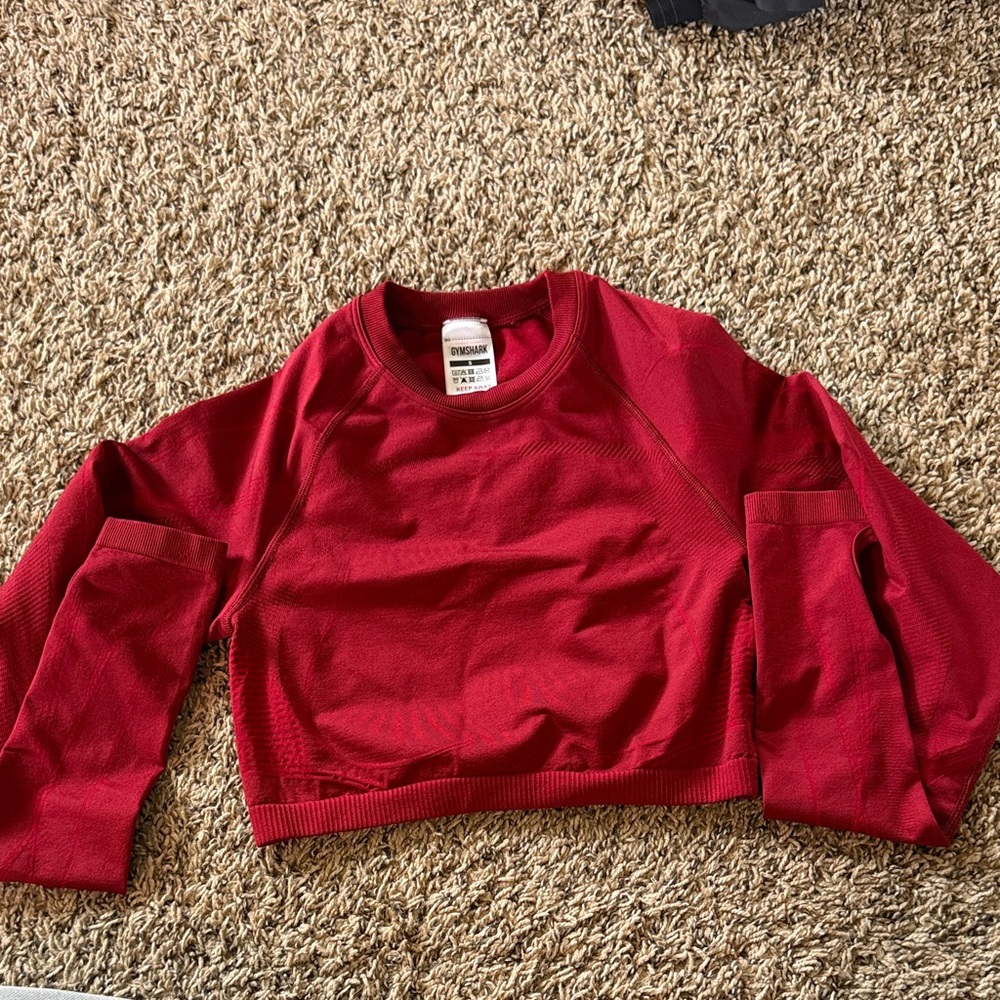 Analis Seamless long sleeve crop top